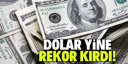 Dolar rekor tazeledi: Bu gidiş nereye?