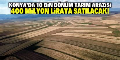 Konyalı çiftçi 10 bin dönüm tarlasını satışa çıkardı! Fiyatı 400 milyon lira