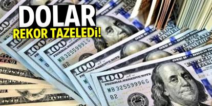 Dolar rekor tazeledi!