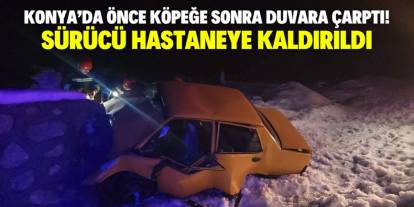 Konya'da önce köpeğe sonra duvara çarpan otomobilin sürücüsü yaralandı