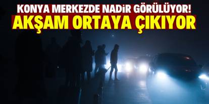 Konya merkezde nadir görülüyor! Akşam saatlerinde ortaya çıkıyor