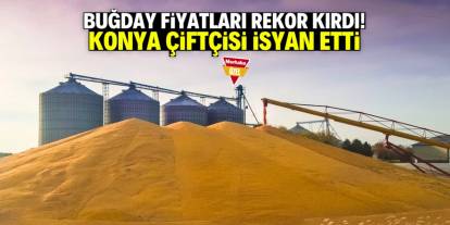 Buğday fiyatları rekor kırdı! Konya çiftçisi isyan etti