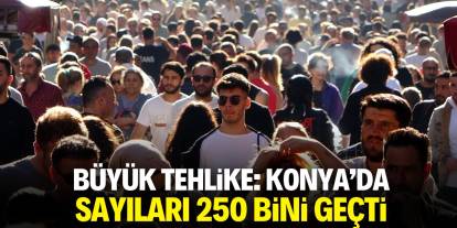 Büyük tehlike! Konya'da sayıları 250 bini geçti