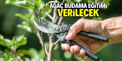 Ağaç budama eğitimi verilecek