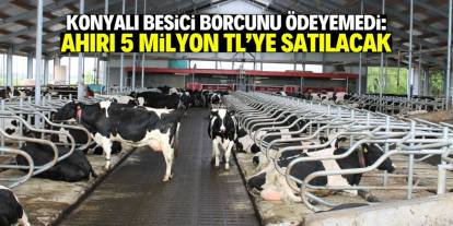 Konyalı besici borcunu ödeyemedi! Ahırı 5 milyon TL'ye icradan satışa çıkarıldı