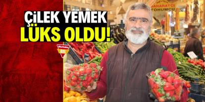 Çilek yemek lüks oldu! Kilosu 150 TL