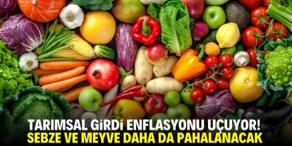 Tarımsal girdi enflasyonu arttı! Gıda ürünleri daha da pahalanacak!