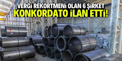 Türkiye'de vergi rekortmeni 6 şirket konkordato ilan etti! Tam liste