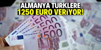 Almanya Türklere 1250 Euro para veriyor! İşte o uygulama