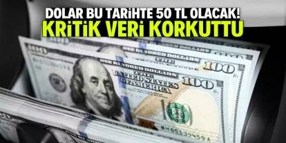Dolar bu tarihte 50 TL olacak! Kritik veri paylaşıldı
