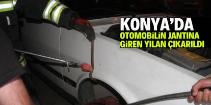 Konya'da otomobilin jantına giren yılanı böyle çıkardılar