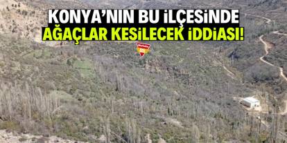 Konya'nın bu ilçesinde halk çok gergin: 50 yaşındaki ağaçlar mı kesilecek?