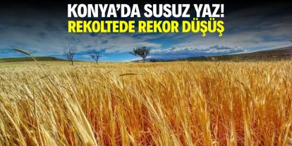 Konya'da susuz yaz! Rekoltede rekor düşüş