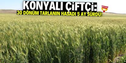 Konyalı çiftçi İsmail Er: 30 dönümlük tarlanın harmanı 5 ay sürdü!