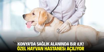 Konya'da sağlık alanında bir ilk! Özel hayvan hastanesi açılıyor