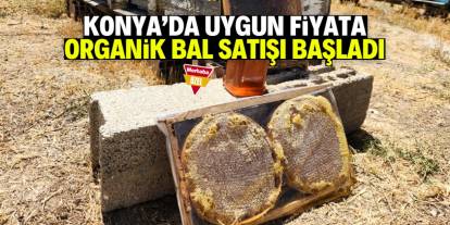 Konya'da uygun fiyatlı organik bal satışı başladı