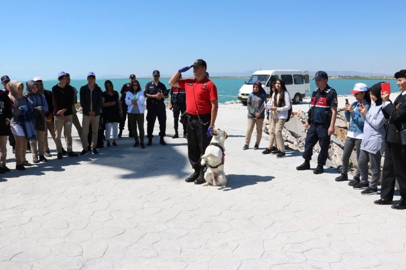Jandarma teşkilatının gözbebeği eğitimli köpekler hayran bıraktı