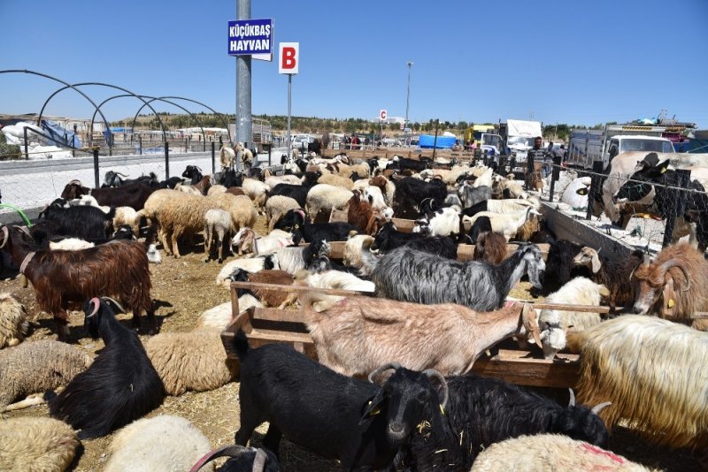 Selçuklu’da kurban satışı başladı