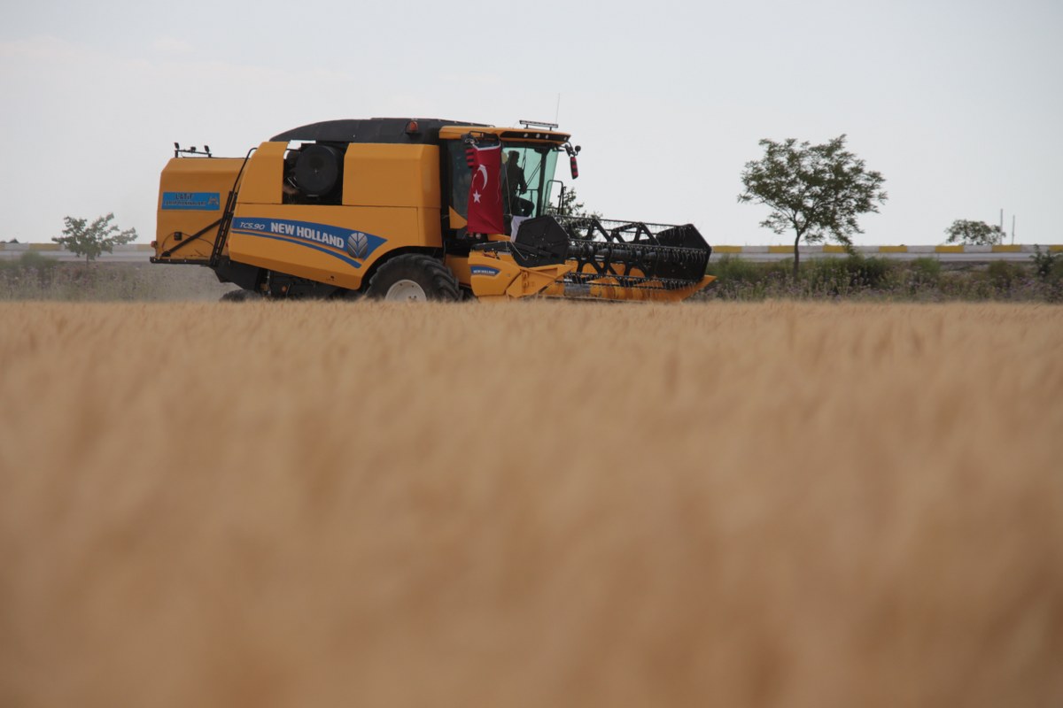 aa-20220707-28355796-28355792-hasadi-gecikmeli-baslayan-hububatta-yuksek-kalite-elde-edildi-1200x800.jpg