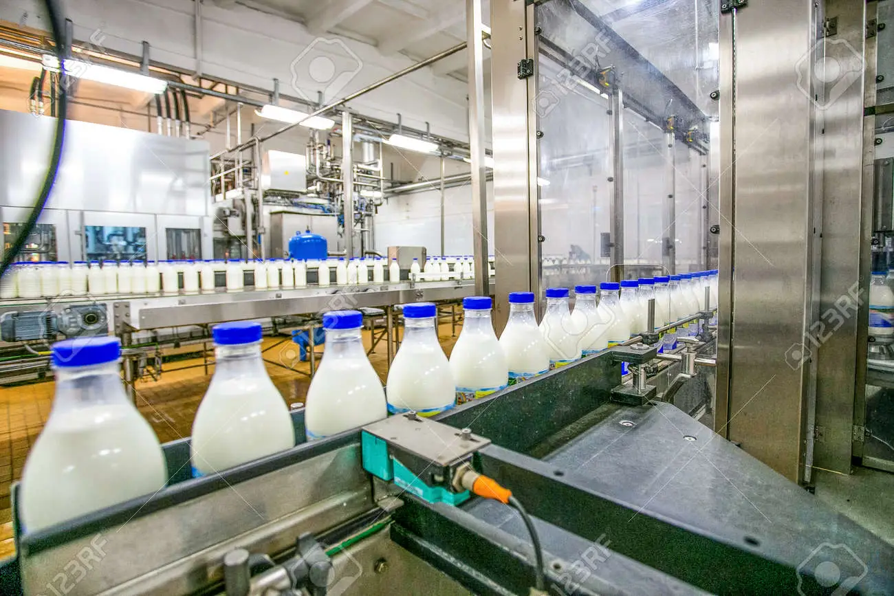 53401427-milk-production-at-factory-white-bottles-with-blue-tops-going-through-conveyer-line-with-another-lin.webp