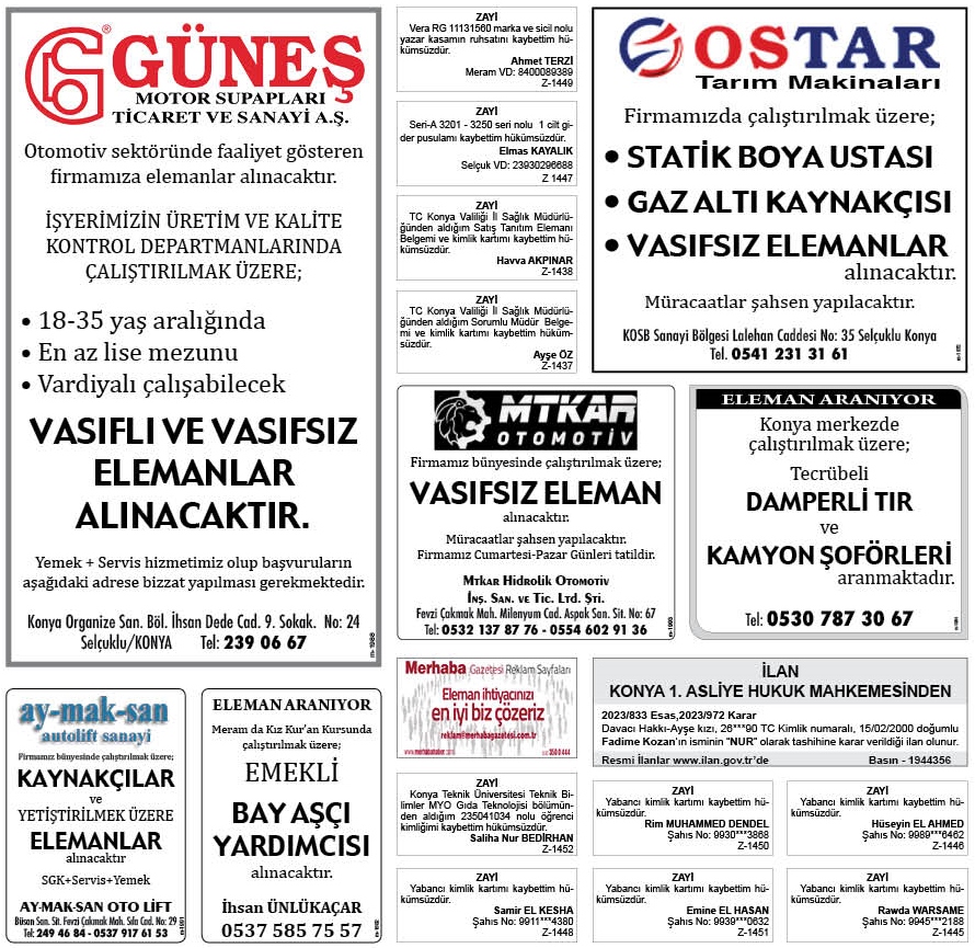 14.jpg
