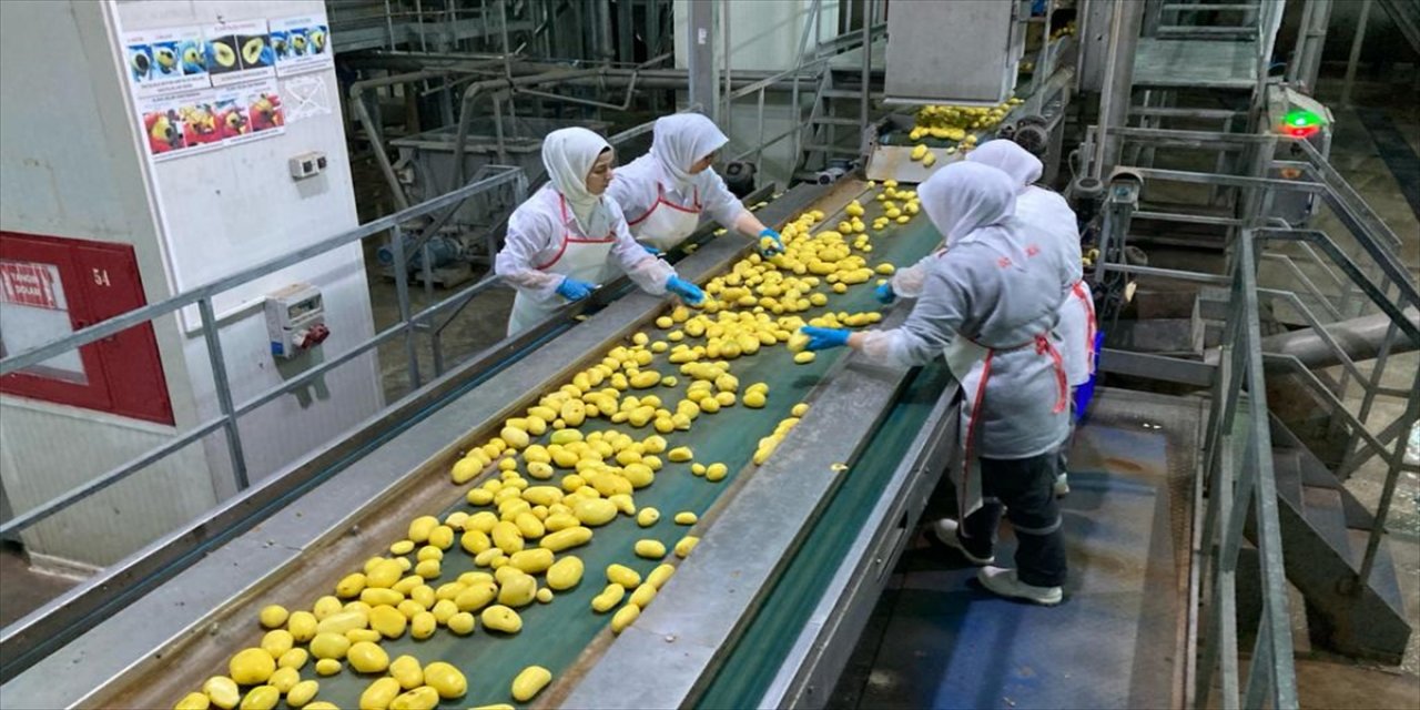 aa-20240125-33526375-33526370-islenen-patatesi-ihrac-edip-kabuklarindan-elektrik-uretiyorlar.jpg