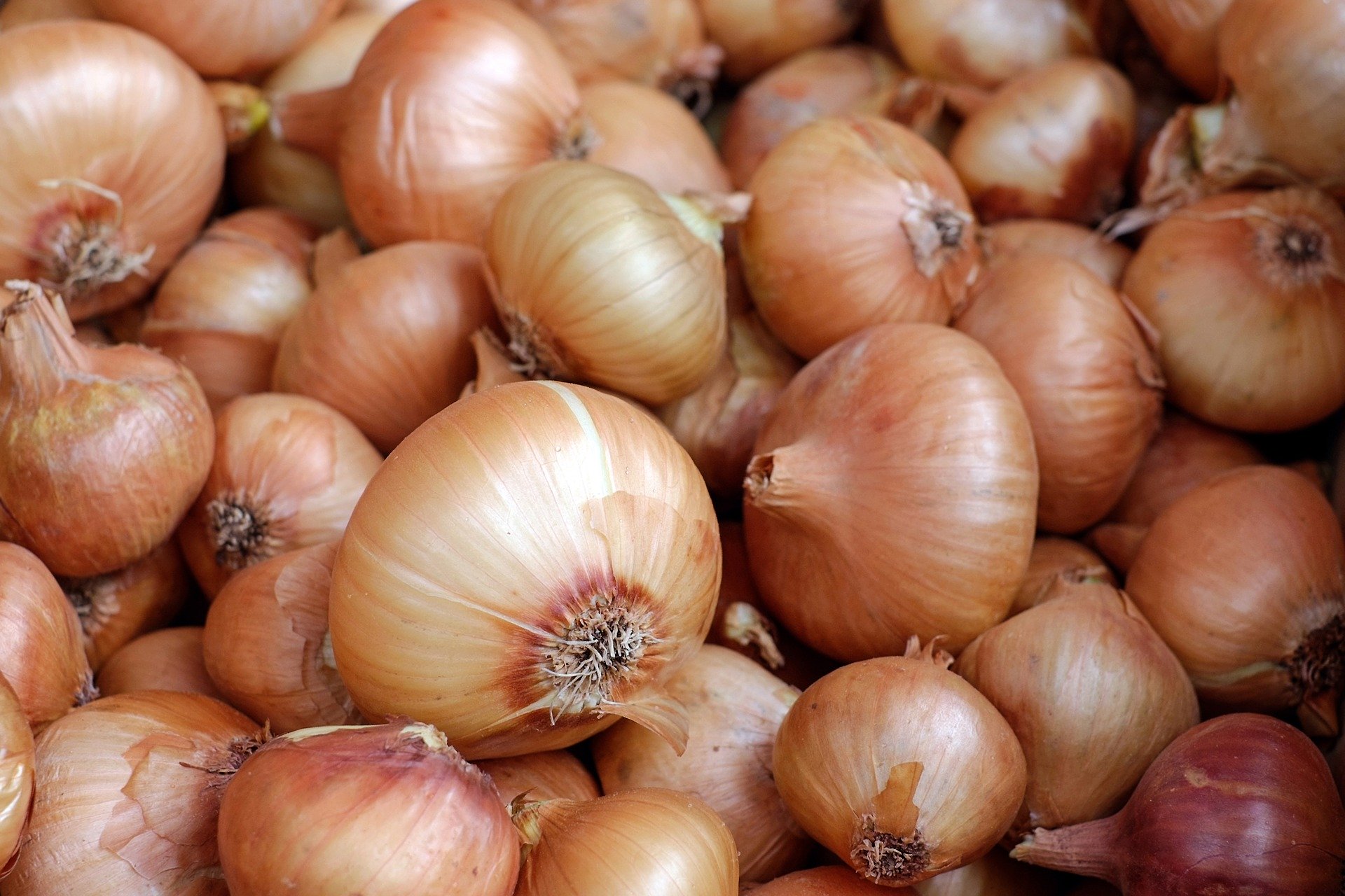 onions-1397037-1920-1.jpg