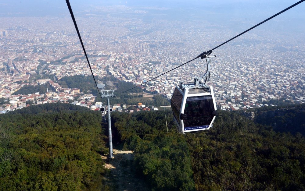 aa-picture-20140912-3260964-high-1.jpg