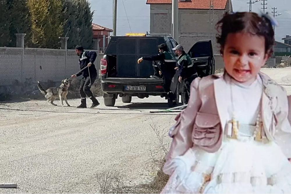adsiz.png