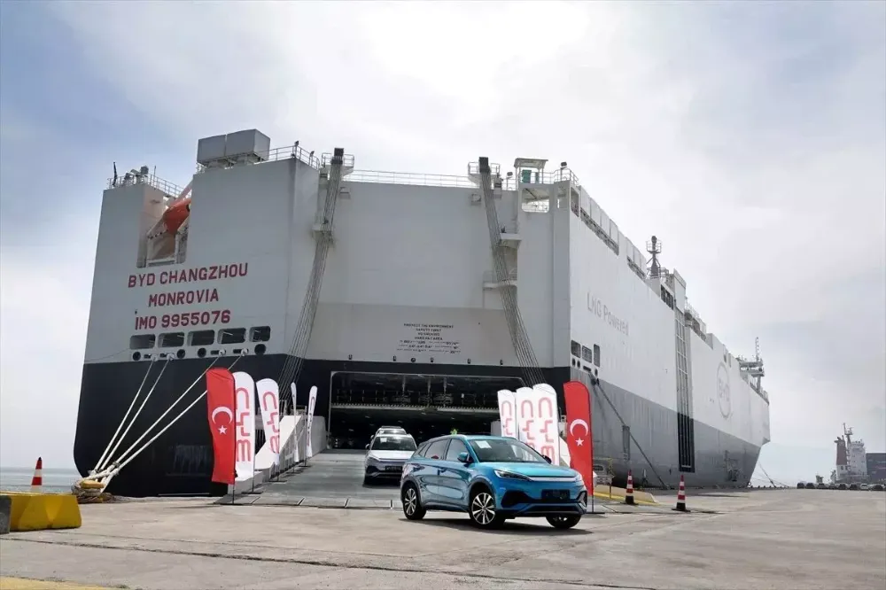 byd-2-1.webp