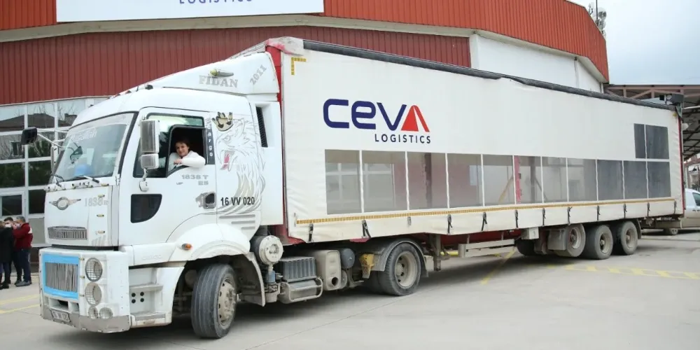 ceva-2.webp