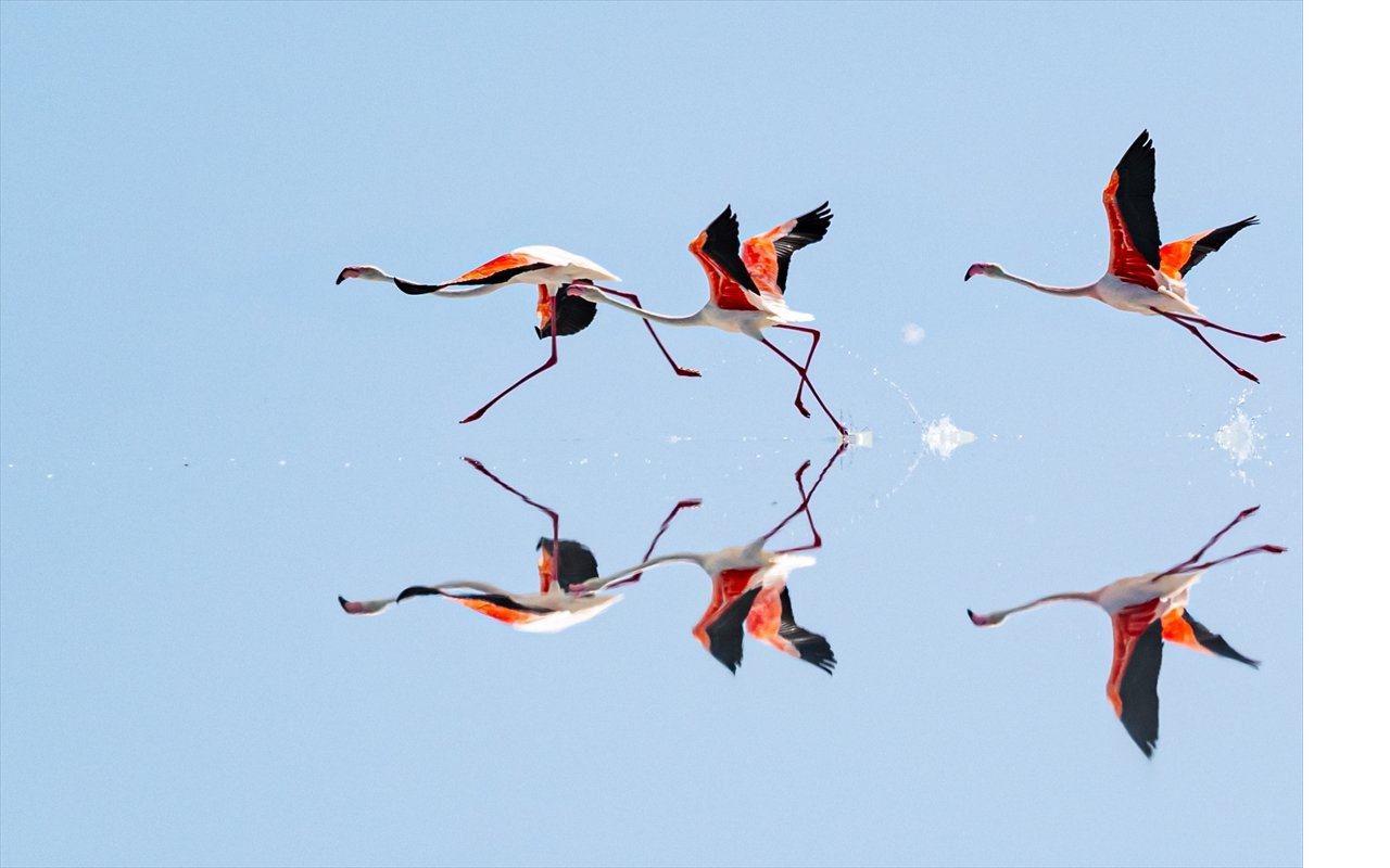 aa-20250629-38417237-38417217-kuraklik-tuz-golundeki-flamingo-sayisini-dusurdu.jpg