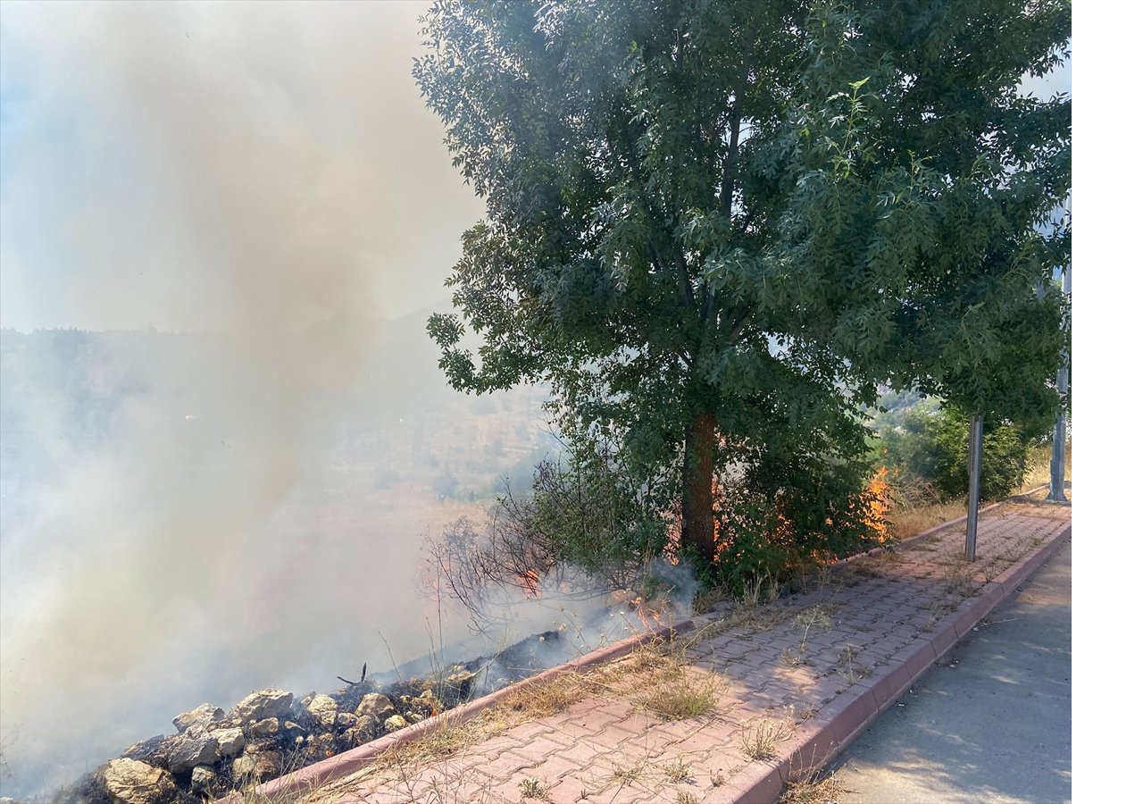 aa-20250724-38653503-38653501-beysehirde-otluk-alanda-cikan-yangin-sonduruldu.jpg