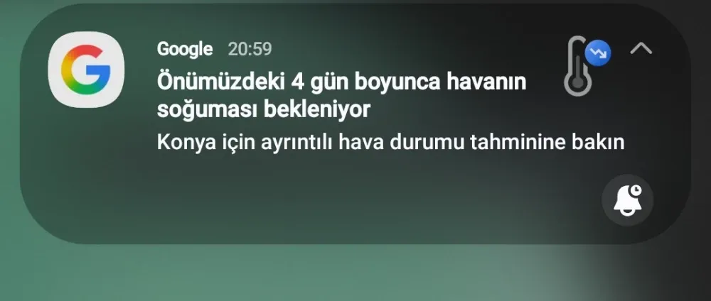 1000228353.webp