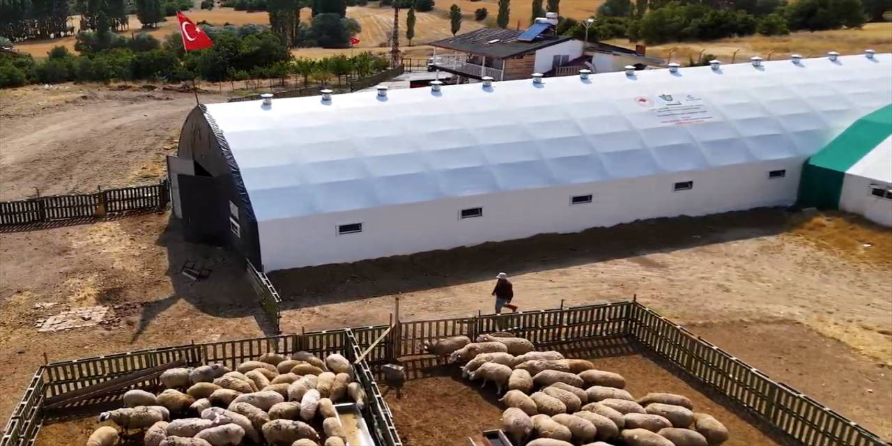 aa-20260321-40890726-40890724-cadir-agil-destegiyle-buyuttugu-isinde-kucukbas-hayvan-sayisini-artirdi.jpg