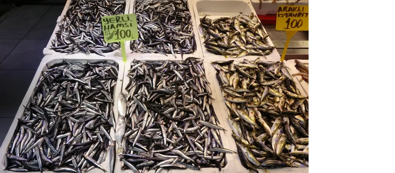son-yillarin-en-bereketli-hamsi-sezonu-kilosu-bakin-kac-liraya-geriledi-1758621601989-2-001.webp