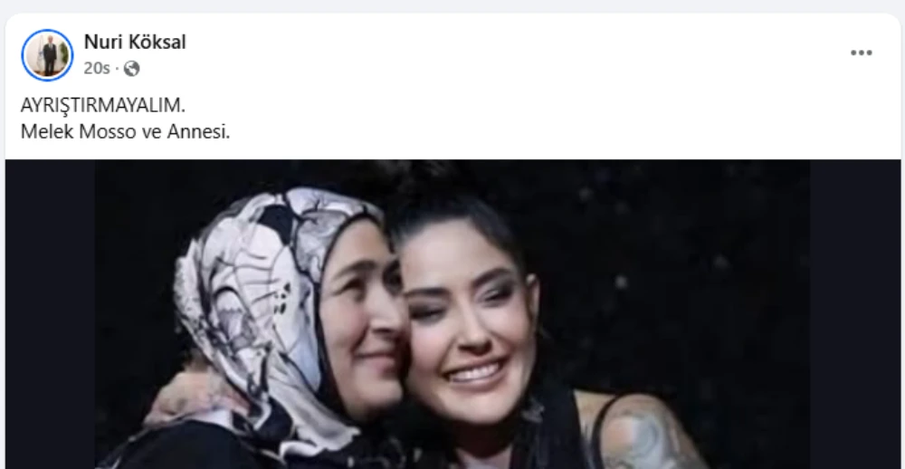 mosso.webp