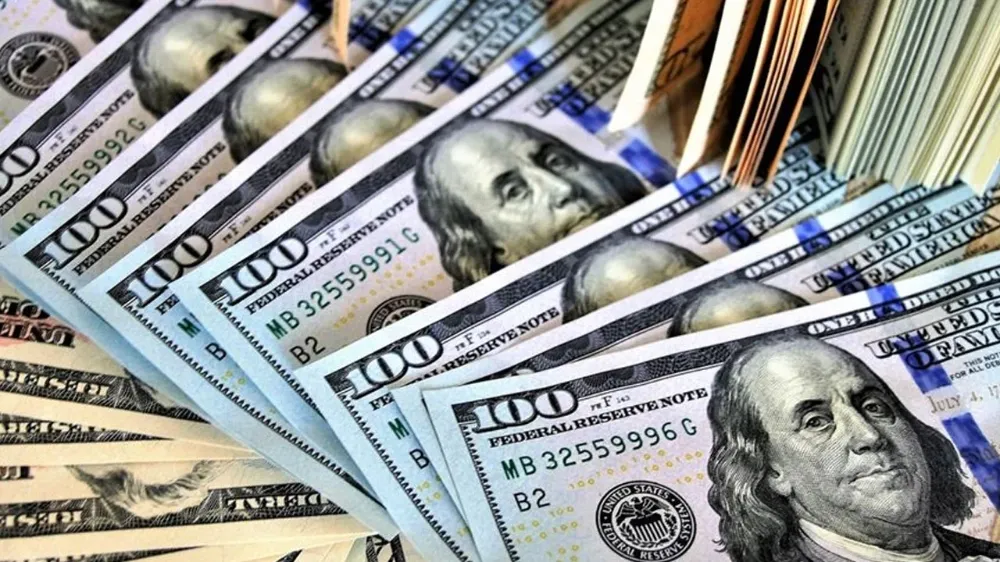 dolar-1-1.webp