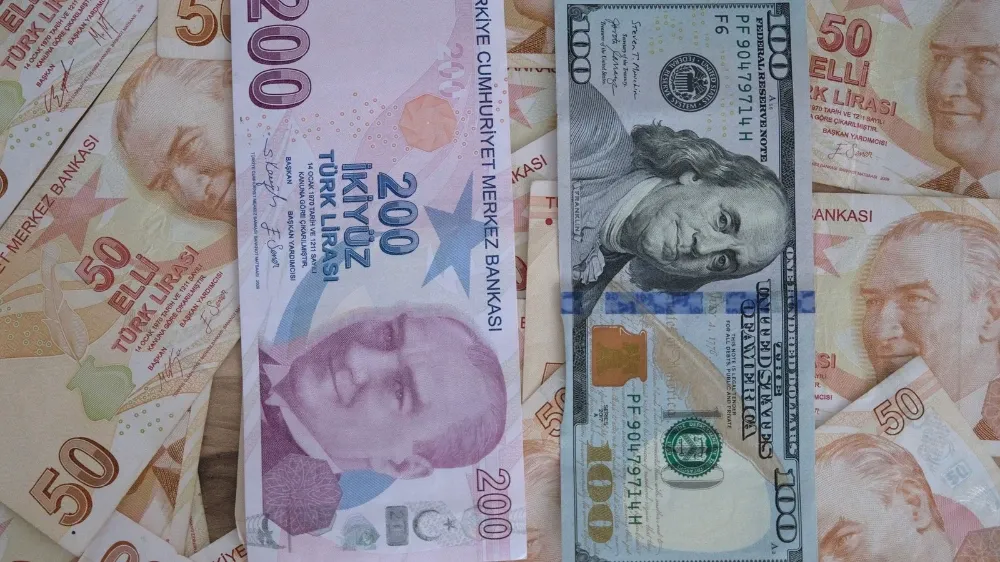 dolar-22.webp