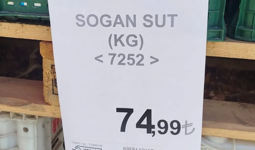 sogan-1.webp