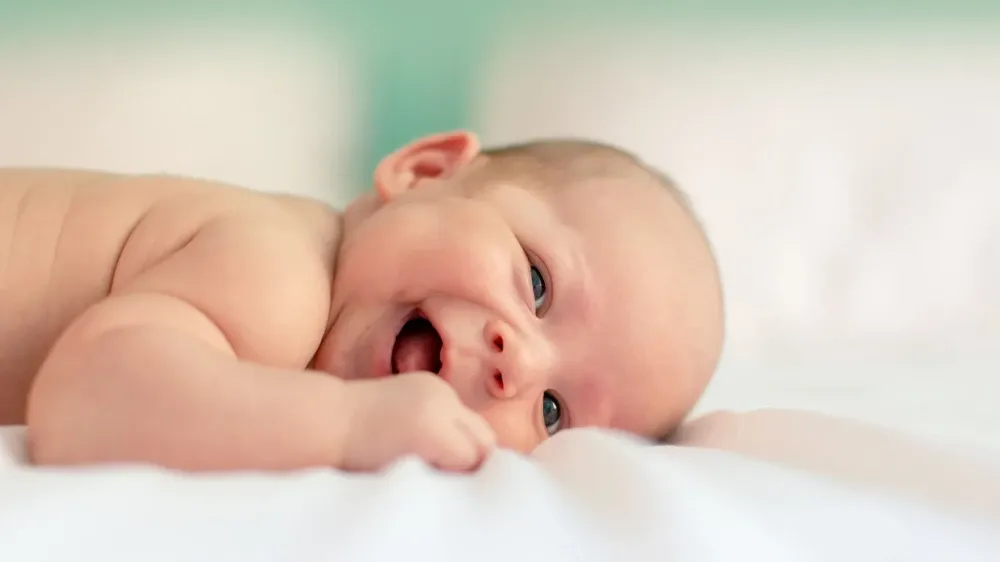 bebek-1-1.webp