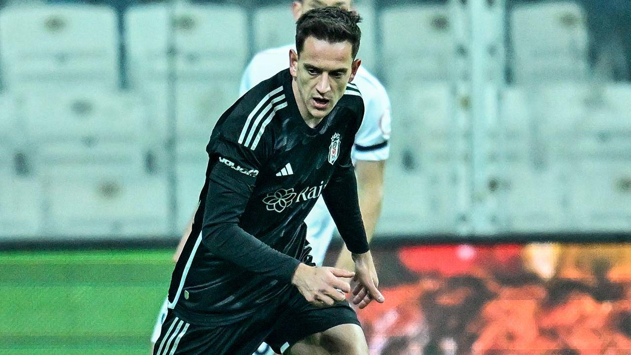 amir-hadziahmetovic-aa-2187824.jpg