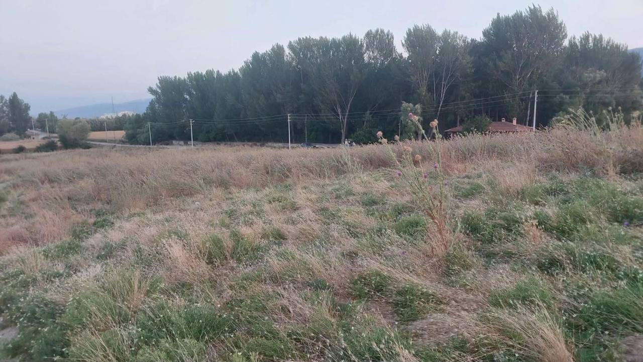 2-2.jpg