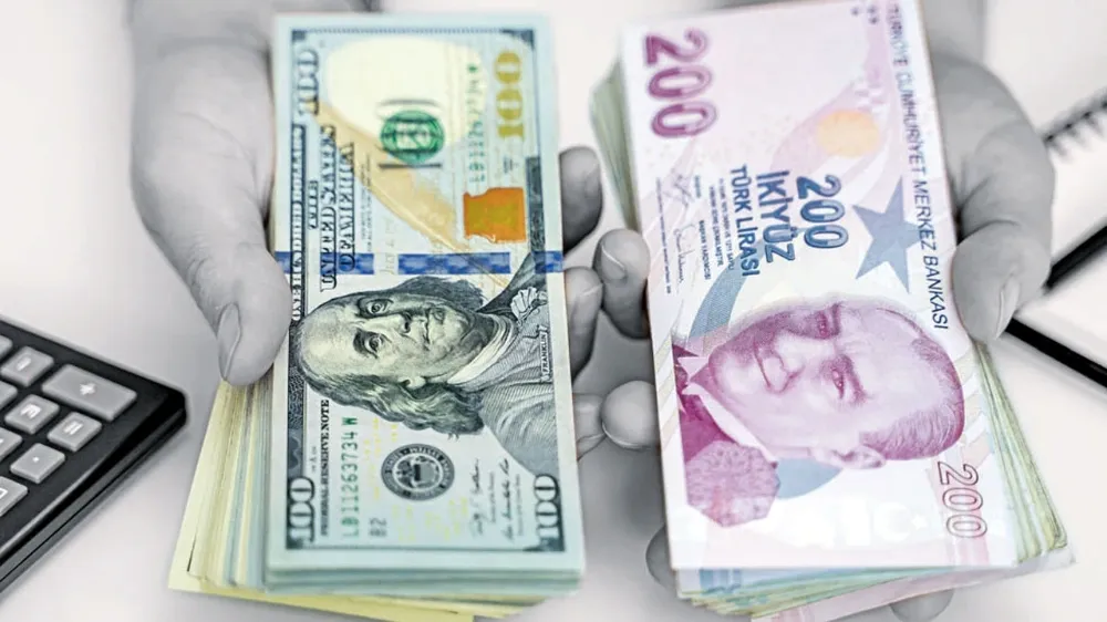 dolar-1-1.webp