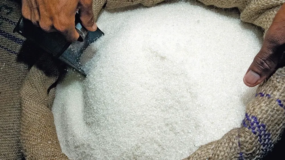 sugar-1699529615539-1699529615752.webp