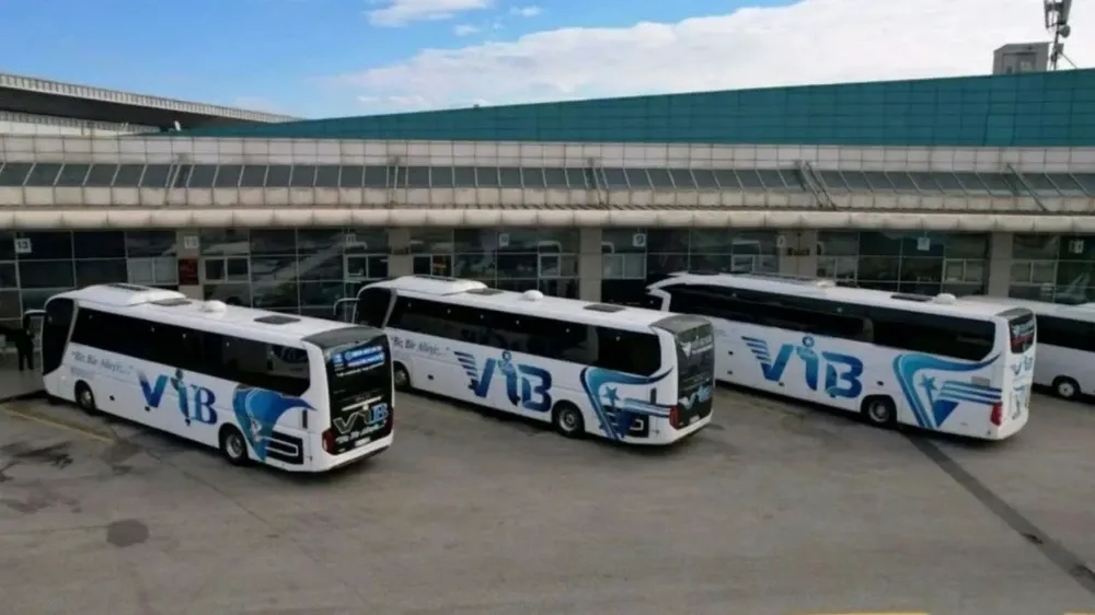 vib-1.webp