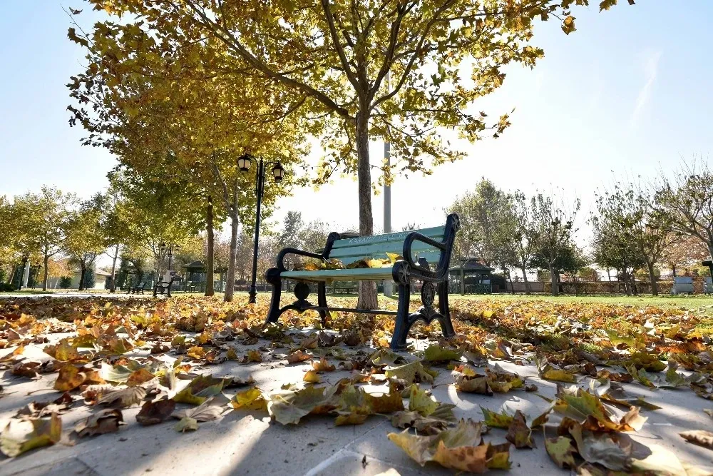 sonbahar-333.webp