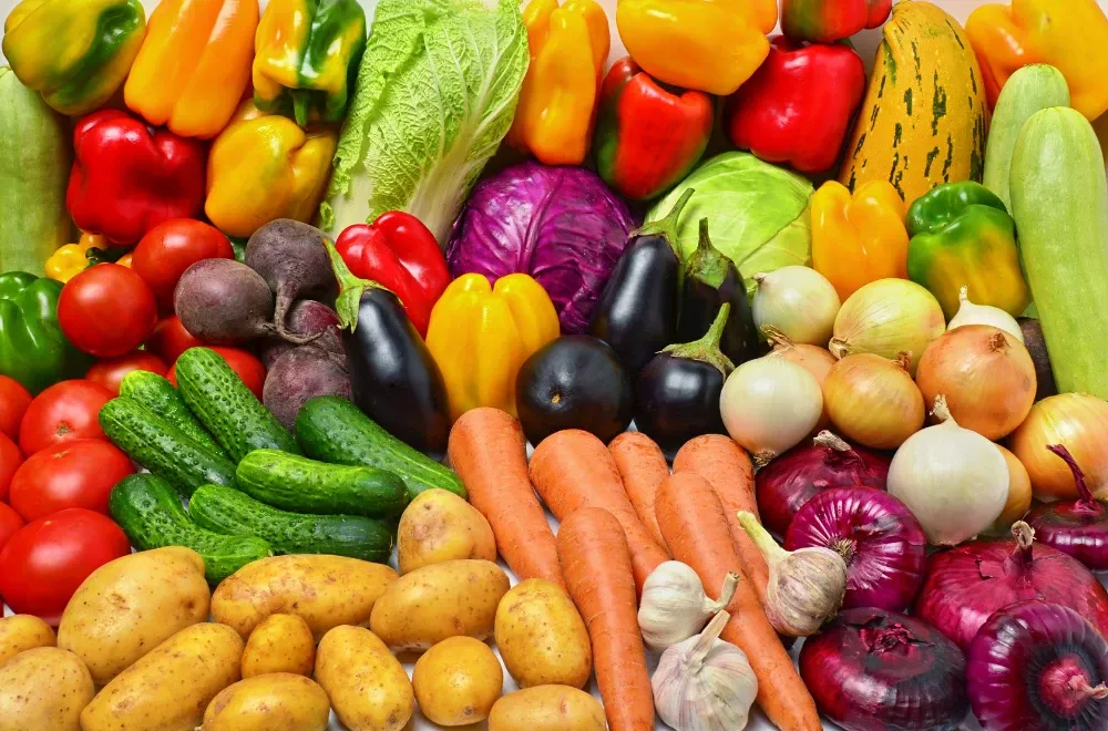 plant-young-food-har.webp