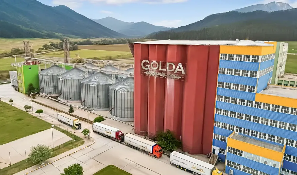 golda-2.webp