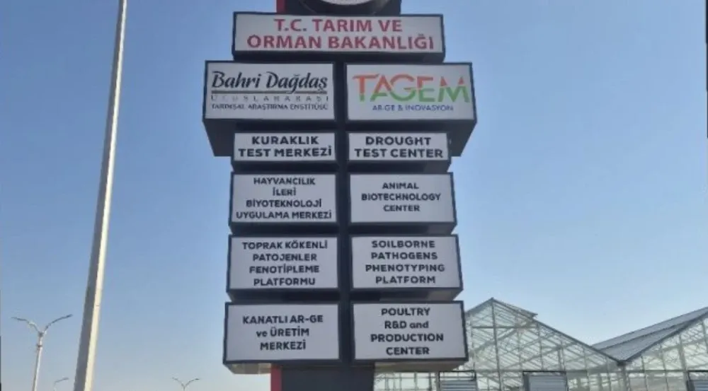 tarim-1.webp